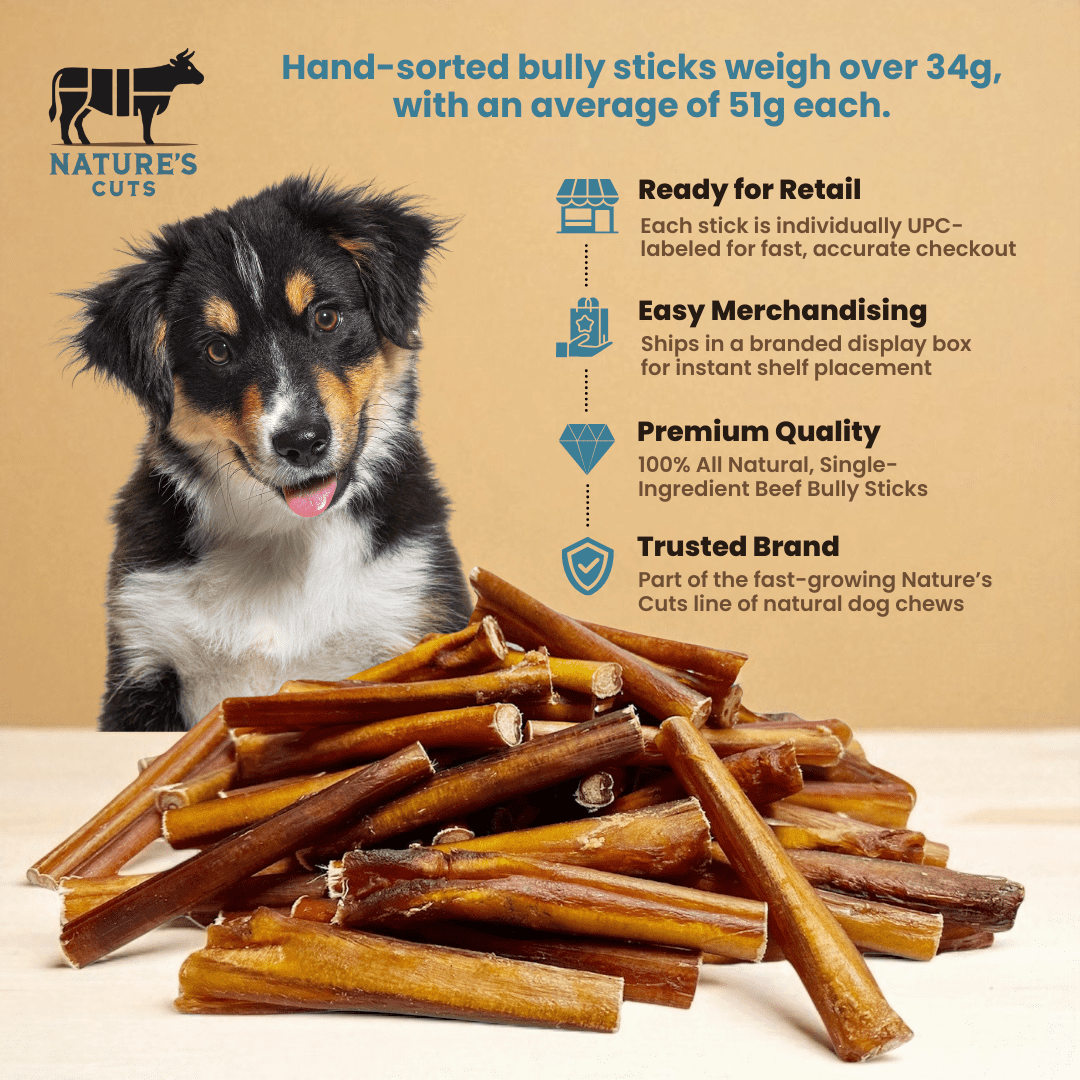 6" Jumbo Bully Sticks Display Box (60 ct) with Individual UPC Tags - 100% All Natural Beef