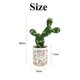 thumbnail image 2 of Planta de simulación de bonsái de plástico, planta de flor artificial de bonsái de cactus tropical, 2 of 5