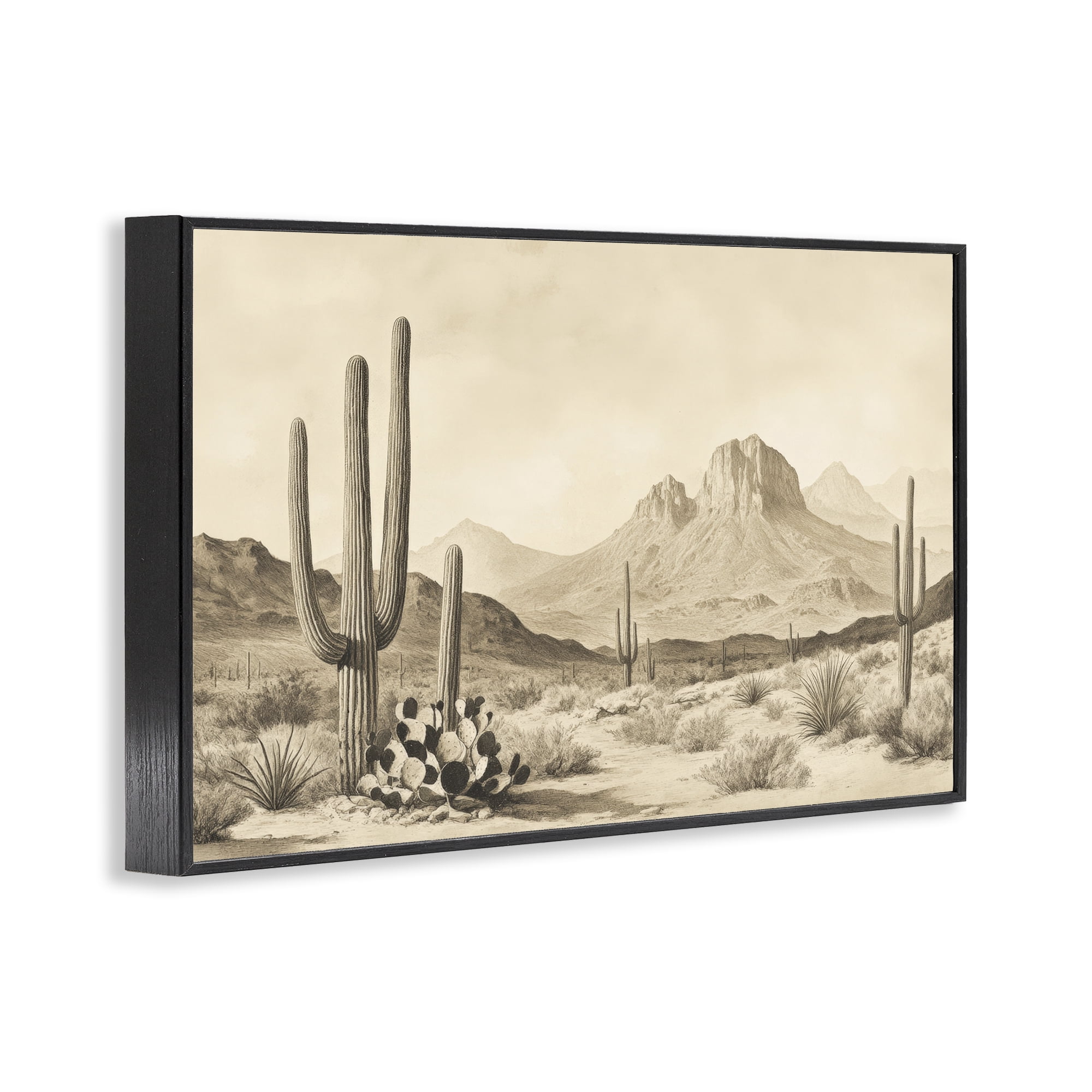 Stupell Industries Arizona Desert Vista Black Framed Giclee Art, design by Petal Prints Design