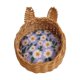 thumbnail image 1 of Accesorios para escenas de perreras a escala 1:12, regalos de cumpleaños, pasatiempos, decoración de casas de muñecas, gatos y perros. Flor picada ligera, 1 of 9