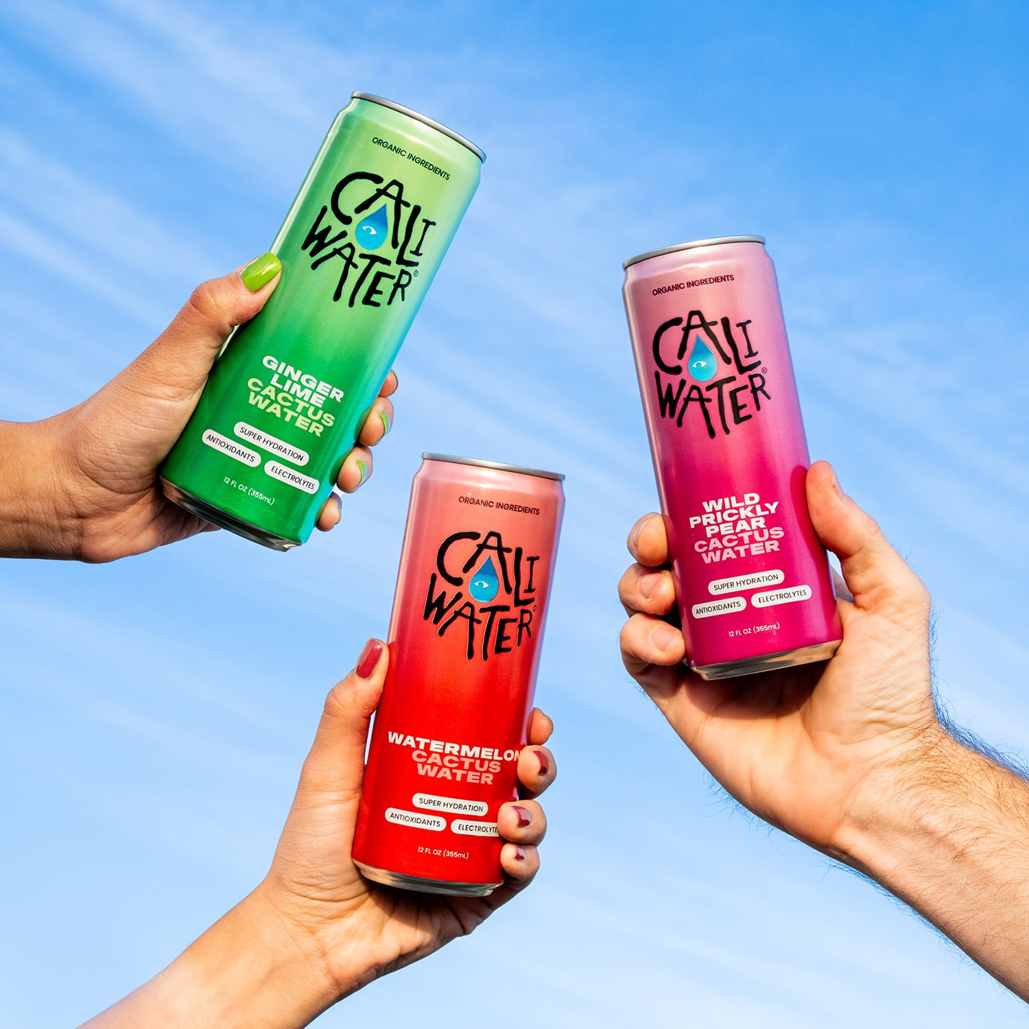 Caliwater Organic Cactus Water Variety Pack Wild Prickly Pear, Ginger Lime, Watermelon, Coconut Water Alternative, Natural Plant Based Hydration, Skin Care, Electrolyte Drinks, 12-Pack 12oz/can