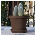 thumbnail image 3 of Gexandy 24 Inch Round Classic Planter - Large Plastic Plant Pot for Indoor Outdoor Plants Flowers , Chocolate, 3 of 6