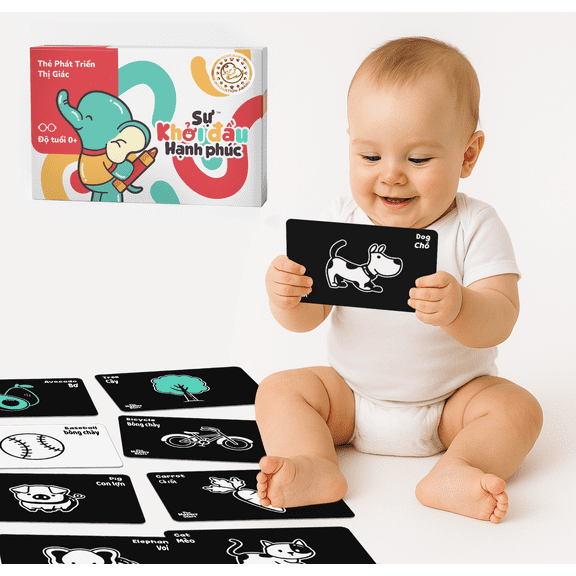 The Happy Start High Contrast Vision Flash Cards, 23 Count, 1 Pack (English & Vietnamese)