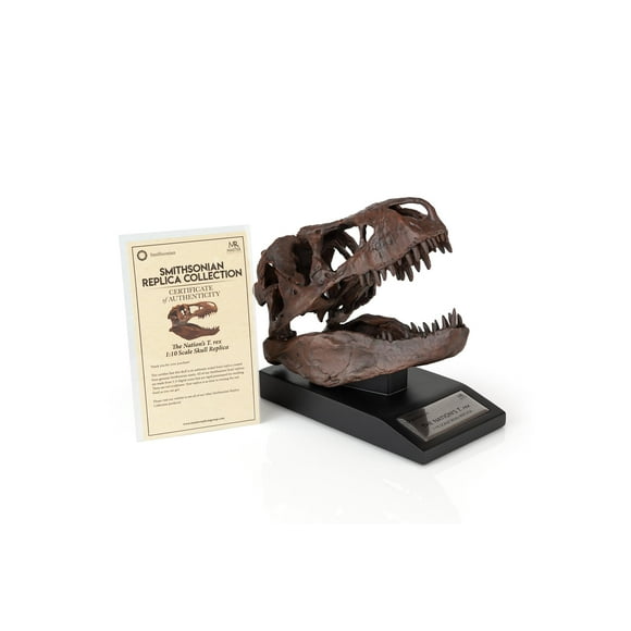 The Nation's T-Rex Skull Statue | 6-Inch Smithsonian Fossil Replica| 1:10 Scale