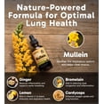 thumbnail image 3 of Gotas limpiadoras pulmonares RESPICLEAR Mullein con jengibre y limón, 60 ml, 3 of 7