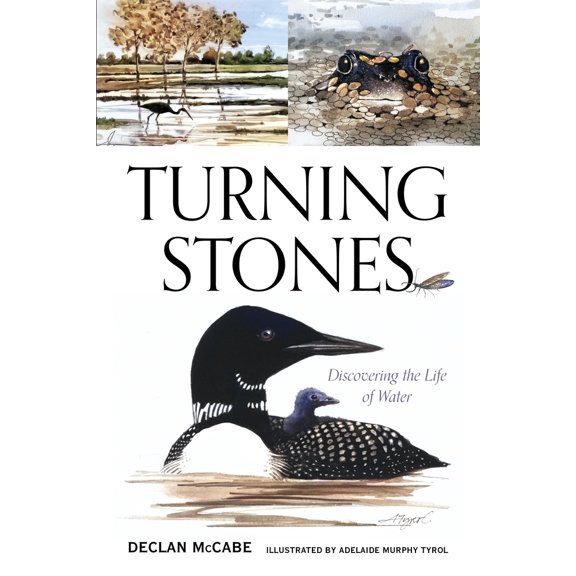 Pre-Owned Turning Stones: Discovering the Life of Water (Paperback) by Declan McCabe