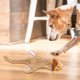 thumbnail image 5 of Juguetes para Perros Resistentes y Patos Diseñados Específicamente para Masticadores Fuertes Juguetes para Perros Indestructibles Juguetes para Perros Resistentes y Patos Diseñados Específicamente pa, 5 of 5