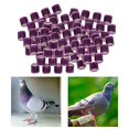 thumbnail image 2 of 100Pcs 2022 Aluminio Racing Pigeon Foot Anillomm Púrpura+100Pcs 2022 Aluminio Racing Pigeon Foot Salvador Dali Bandas de pierna de paloma, 2 of 4