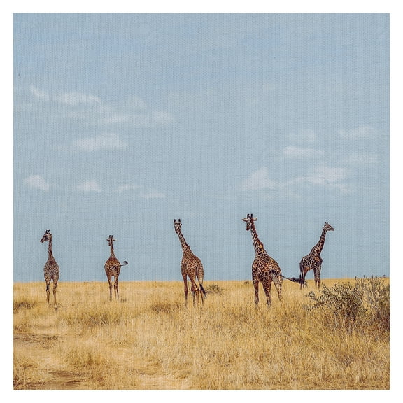 Masterpiece Art Gallery Safari Five Giraffes By Harshil Gudka Canvas Art Print 30" x 30"