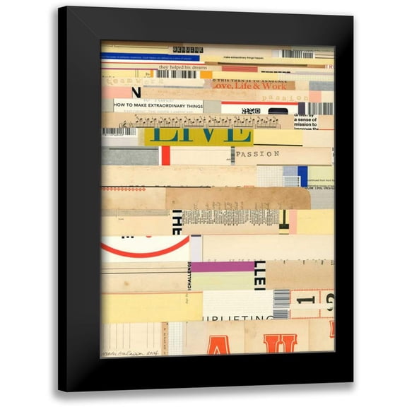 Galapon, Nikki 12x14 Black Modern Framed Museum Art Print Titled - True II