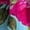 Pink Flowers, variant on Women'S 2 Piece Outfits Spaghetti Strap Crop Top and Smocked Waist Ruffle Swing Long Skirt Set Green M