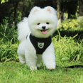thumbnail image 5 of Cat Dog Adjustable Harness Vest Walking Lead Leash For Puppy Dogs Collar Polyester Mesh Harness For Small Medium Dog Cat Pet, 5 of 5