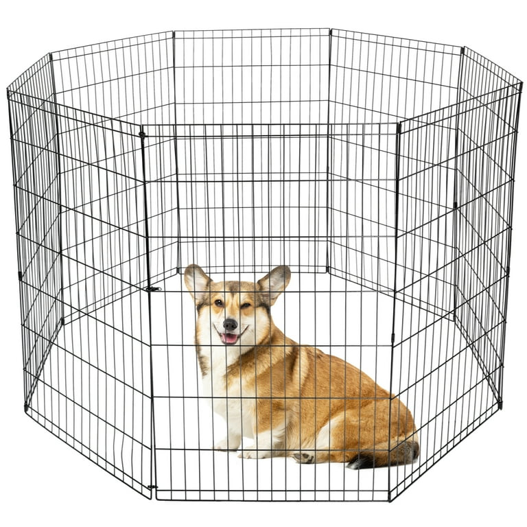 Pet fence cheap walmart