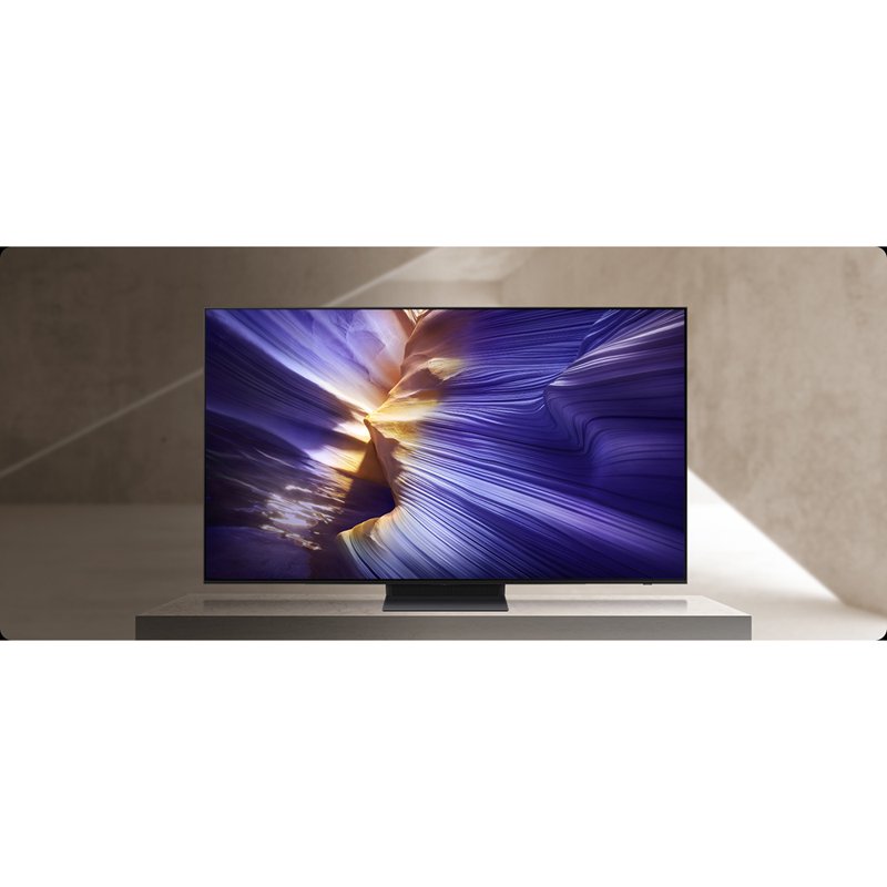 Samsung 65 inch OLED 4K S90F Vision AI Smart TV (2025) accessories and compatibility