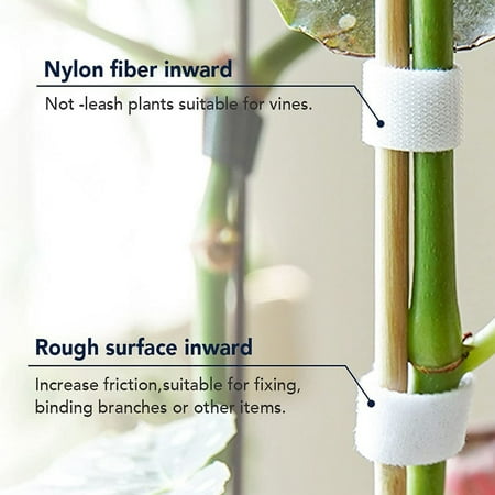 Nylon Plant Climbing Vines Stick Tie Tree Poles Hooks Stick Wide Tape ...