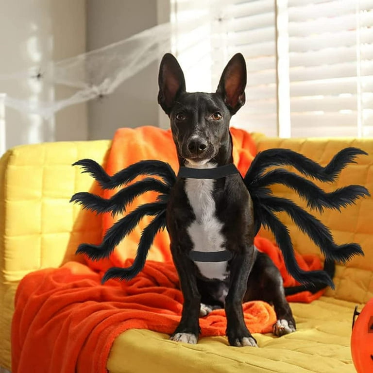 Gomind Pet Spider Costume Halloween Spider Costume for Cats and Small to Medium Dogs Halloween Party Dress Up Festival Decoration Cosplay Pet Costume Walmart