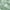 Green, variant on Blackout Curtain Blinds Thermal Insulated Room Darkening Curtains,for Bedroom Nursery Office Noise Reducing Grommet Curtain Short Drapes,42*54in Green, 1 Panel