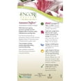 thumbnail image 6 of Encore Azalea Autumn Chiffon (1 Gallon) Flowering Shrub - Full Sun Live Outdoor Plant, 6 of 9