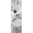 thumbnail image 2 of Blaustein, Alan 9x18 Black Ornate Wood Framed with Double Matting Museum Art Print Titled - Magnolia - 1, 2 of 4