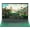 Green, variant on Rumtuk 16" Rose Gold Laptop, DDR4 16GB RAM, 1TB SSD, Win 11 Pro/Office 2019, Pentium 6500Y, FHD IPS Display, Backlit KB, Fingerprint, USB 3.0, HDMI, WiFi/BT, PC Notebook for Work, Study