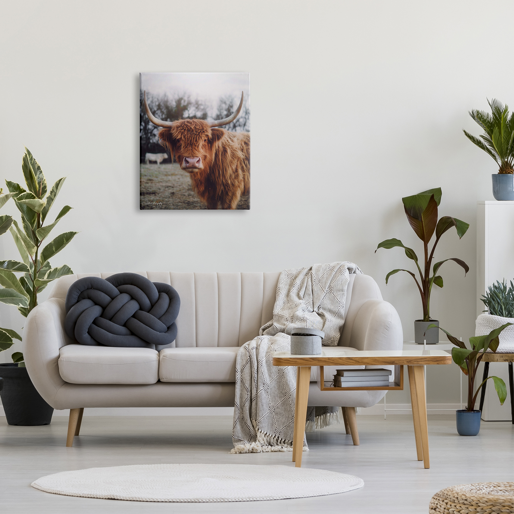 Stupell Industries Highland Cattle Cow Gazing Warm Sunny Portrait Photograph Gallery Wrapped Canvas Print Wall Art, Design by Dakota Diener