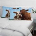 thumbnail image 4 of Brown Cows Pillow Covers King, Country Elegant Farmhouse Modern Art Soft Brushed Microfiber Breathable Throw Pillow Covers, Decorative Pillowcase with Zipper for Couch Sofa Bedroom 20"x36", 4 of 9