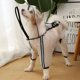 thumbnail image 1 of Impermeable para Perro, Chaqueta de Lluvia Ajustable con Capucha Transparente de Doble Capa, 1 of 4