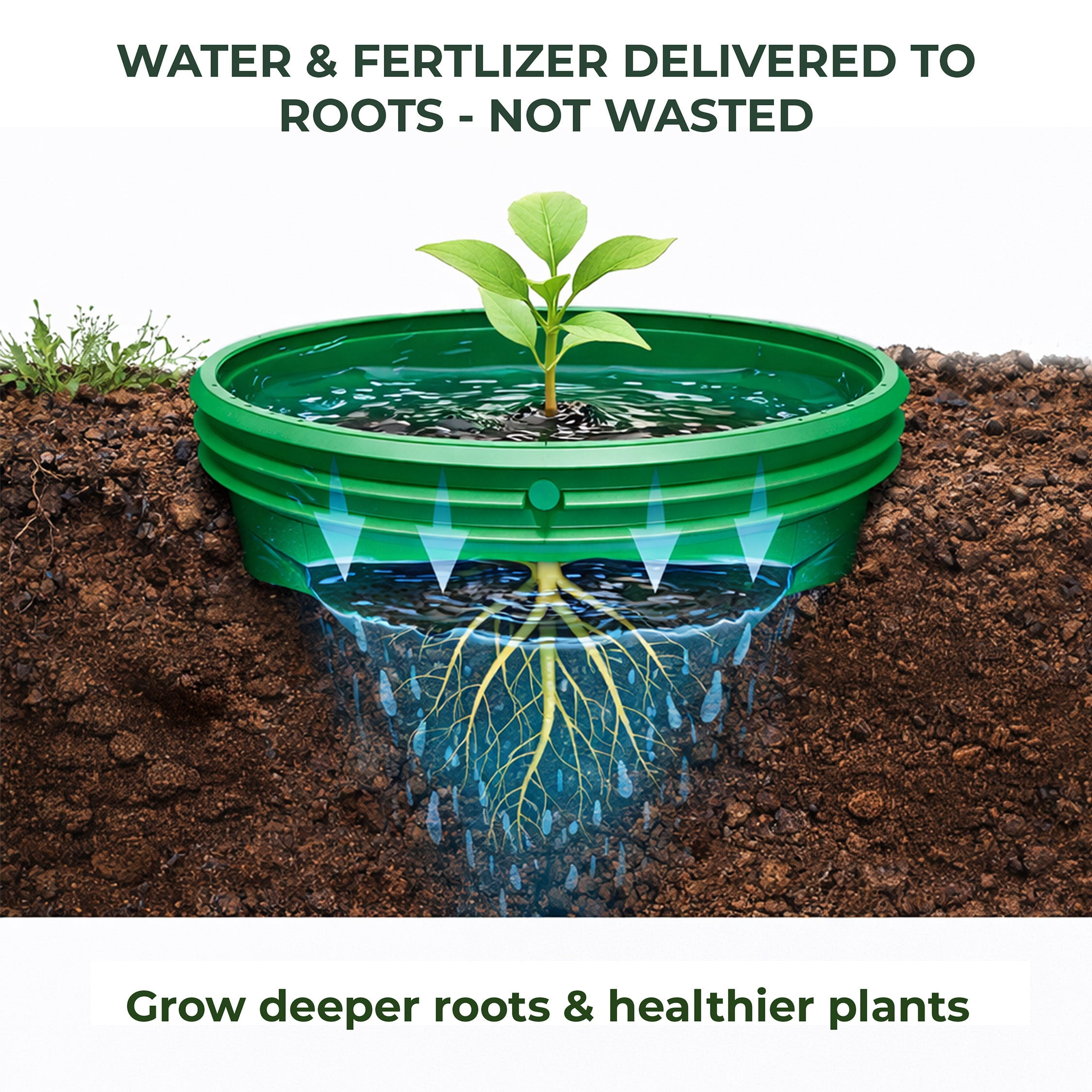 Rooted Promise 7 inch Solid Planting Grow Rings, Perfect for Deep Watering Veggies Herbs and Flowers, Protection and Edging of Garden Plants, Mix Color, Made in The USA - Pack of 4