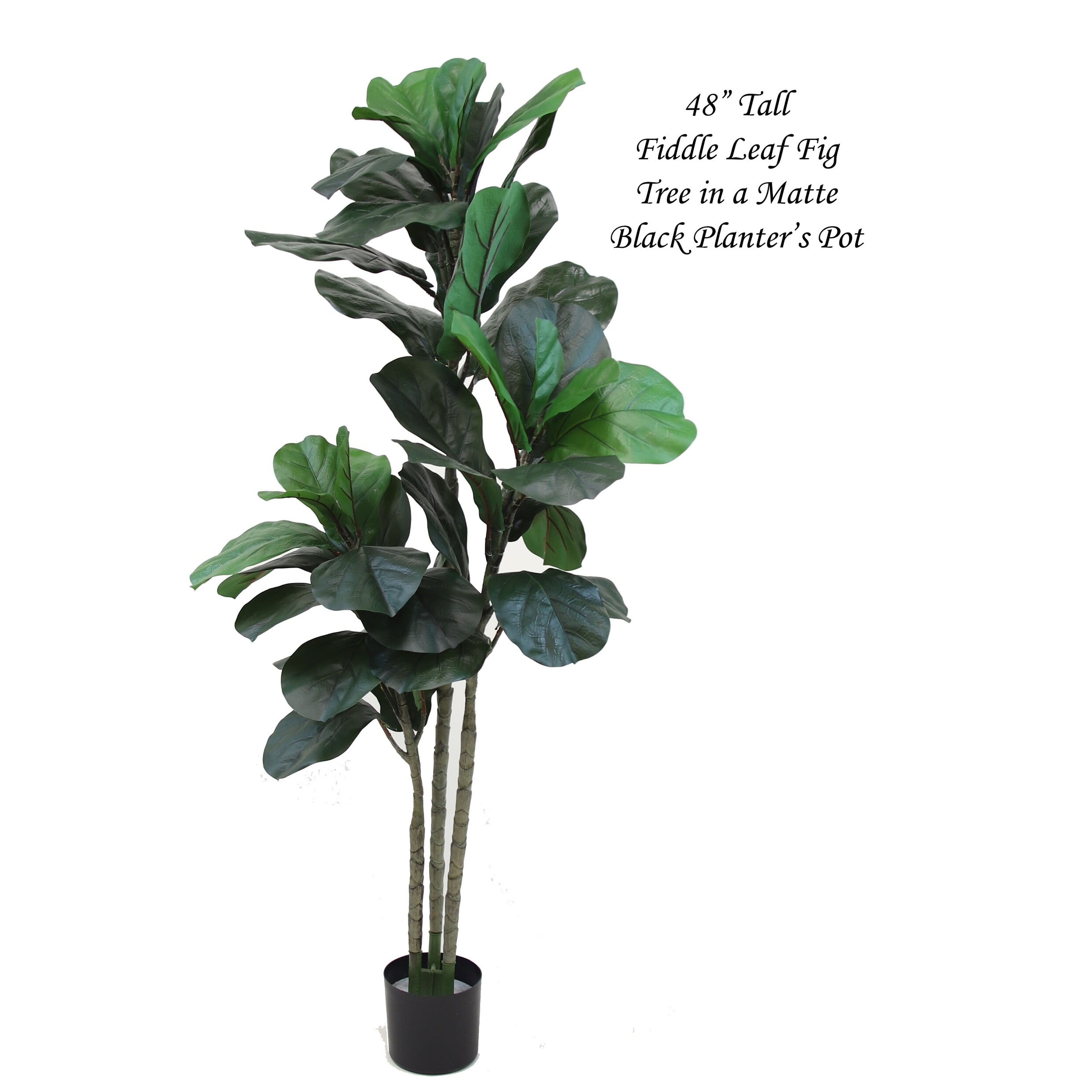 The Mod Greenhouse 39" Artificial Fiddle Leaf Tree in Black Matte Planter's Pot 39
