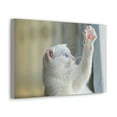 thumbnail image 2 of Funny Wild Cat Silly Wild Cat Inside Wall Art Ready to Hang Unframed, 2 of 18