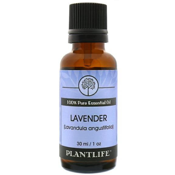 Plantlife Lavender Aromatherapy Essential Oil - Straight From The Plant 100% Pure Therapeutic Grade - No Additives or Fillers - 30 ml