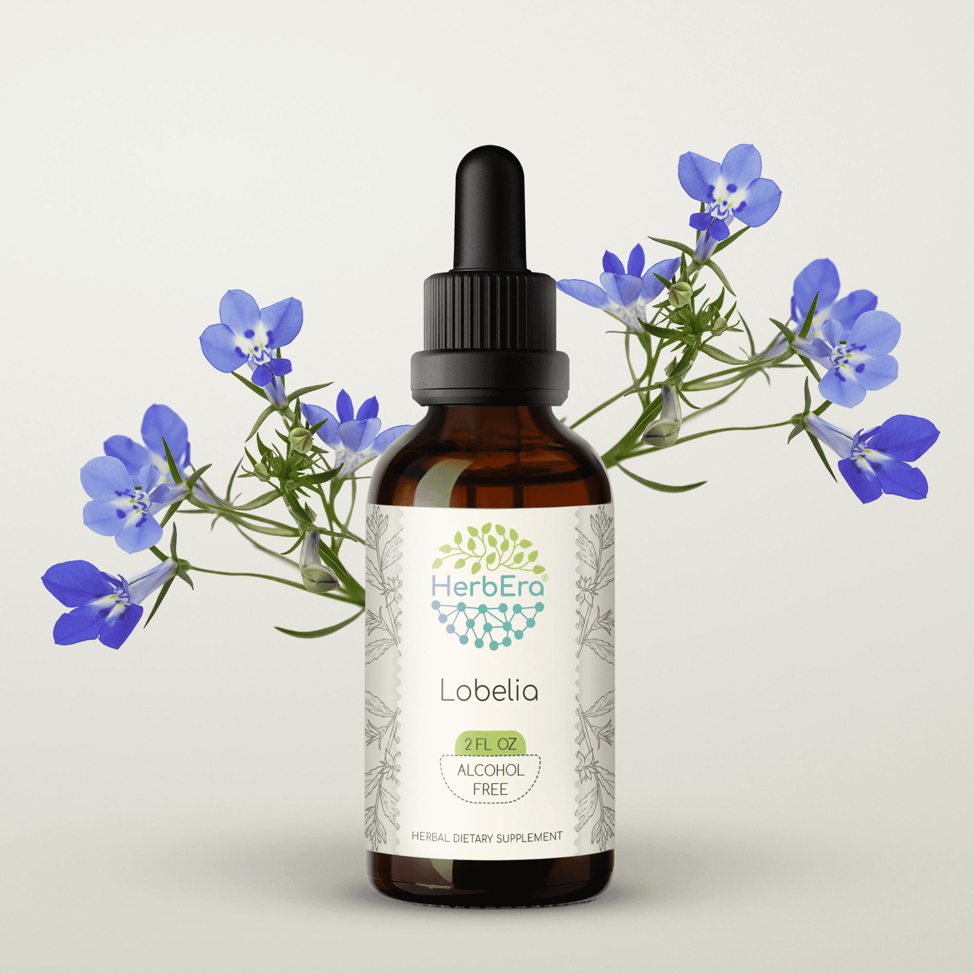 HerbEra Lobelia Tincture, Herbal Dietary Supplement for Respiratory Support, Lobelia (Lobelia inflata) Dried herb Extract, Natural, Alcohol-Free, Drops 2 oz