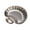 Shell Silver, variant on Homelife Stainless Steel Snack Tray Set with Dipping Bowl Fine Polished Design Sandwich Serving Tray for Sushi Chips Dumplings Salads