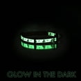 thumbnail image 3 of Pawtitas Glow In The Dark Cat Collar with Safety Buckle and Bell, 3 of 5