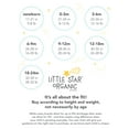 thumbnail image 3 of Little Star Organic Toddler Girl 2 Pk Long Sleeve Peplum Tops, Size 12 Months - 5T, 3 of 5