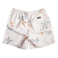 thumbnail image 3 of Traje De Baño Quiksilver Everyday Mix Volley Para Hombre Color Beige Modelo EQYJV04022WDW8, 3 of 7