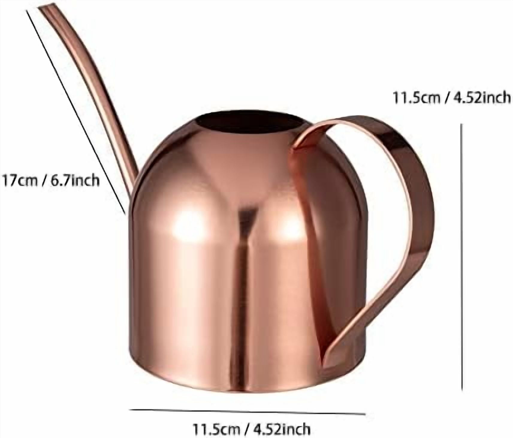 Indoor Watering Can for House Plants 33oz/1L Stainless Steel Watering Can with Long Spout (Rose Gold)