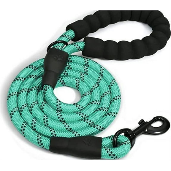 Doggy Tales Braided Leash 5FT - Turquoise