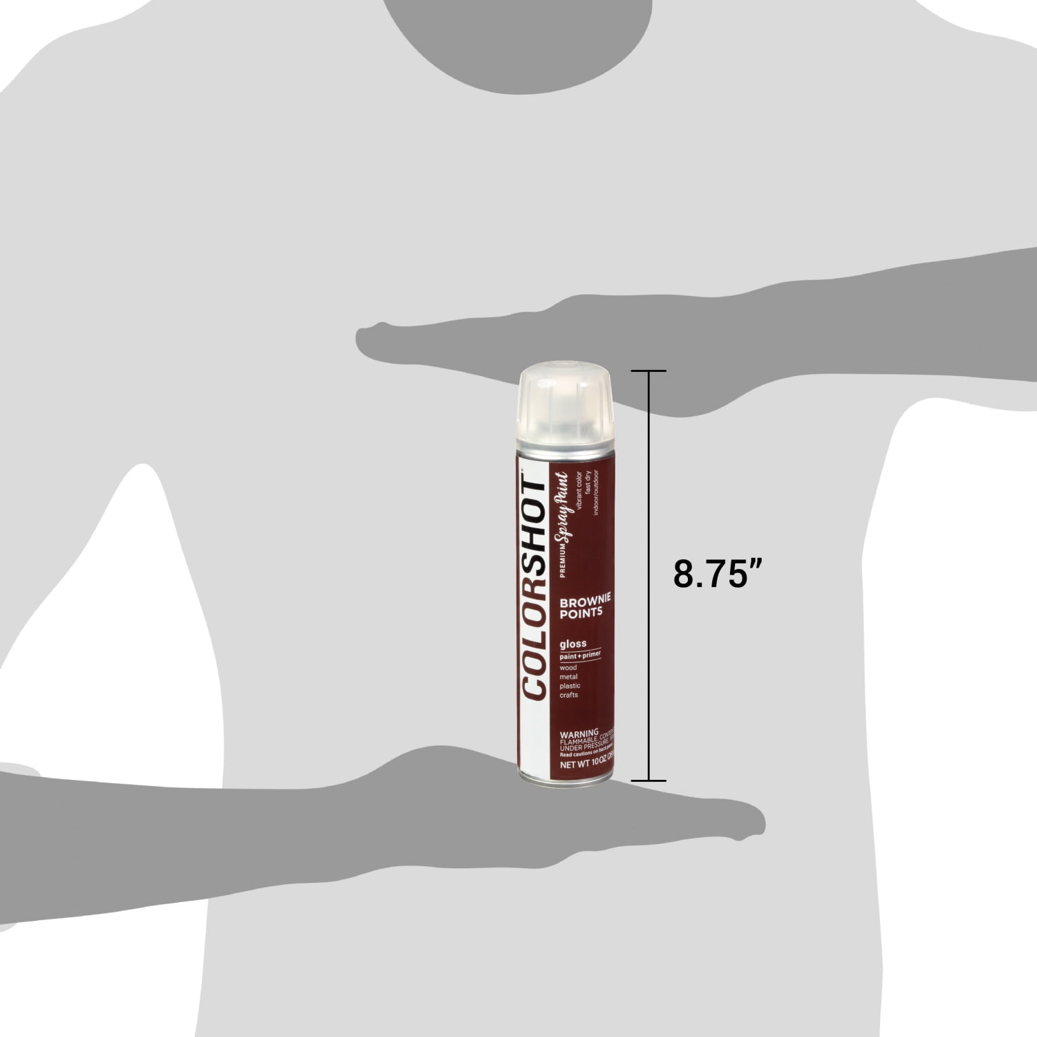 COLORSHOT Gloss Spray Paint, Brownie Points (Dark Brown), 10 oz, Fast-Drying Acrylic Paint, Indoor & Outdoor Use
