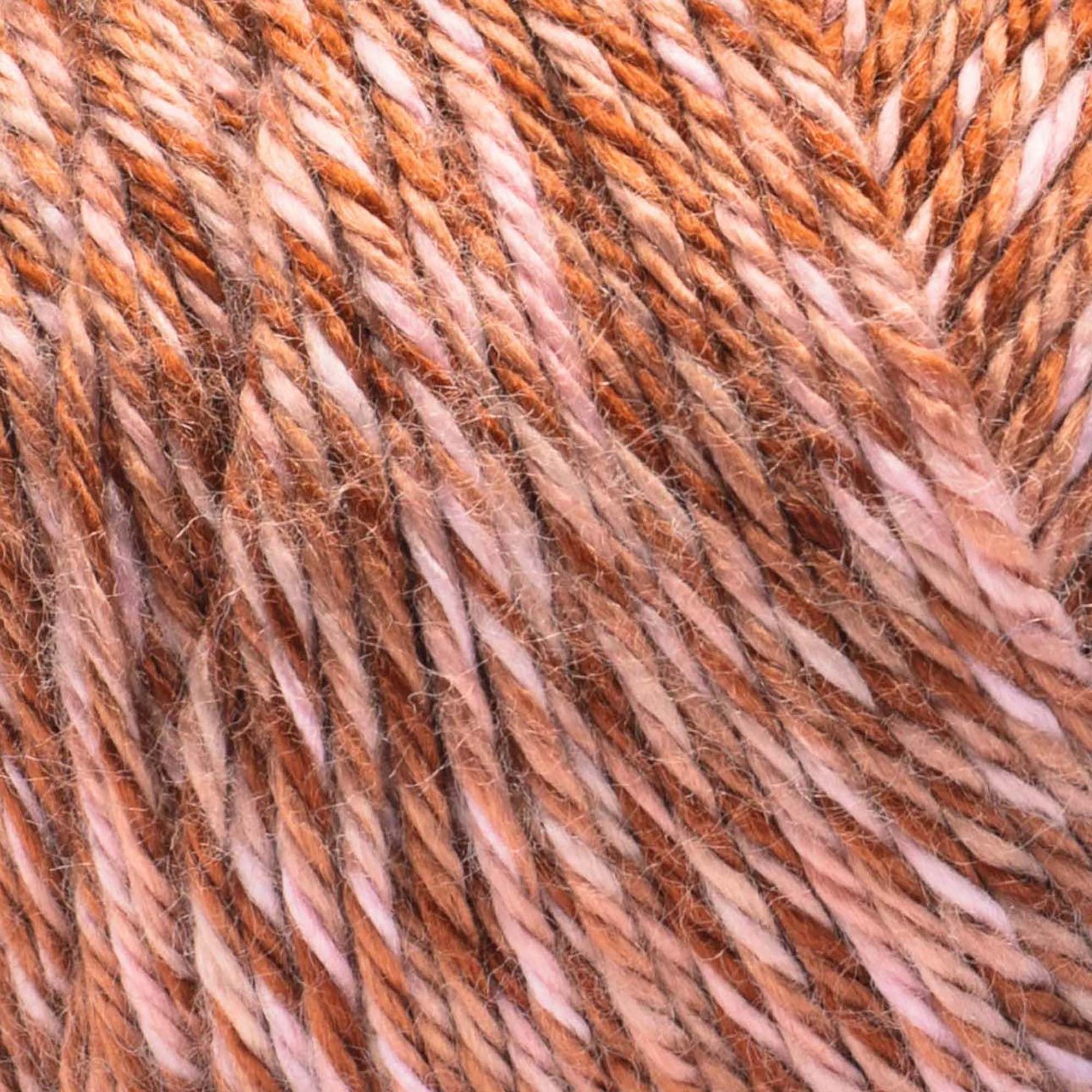 Caron® Simply Soft Sunkissed™ #4 Worsted (Medium) Acrylic Yarn, Fig Tonal 5oz/141g 248 Yards