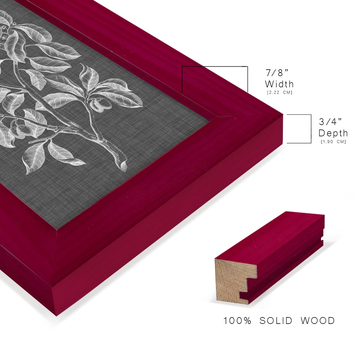 Graphic Foliage I - Framed Print w/glass - Cherry Red