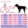 thumbnail image 3 of AIITLE Upgraded Durable Dog Harness Collar Leash Set - Adjustable Lightweight No Pull Dog Halter Harness - Comfortable Padded Handle - for Medium Breed Dogs Outdoor Running Pink-Purple M, 3 of 7