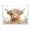 Highland Cow with Flowers, variant on Acrylic Tray Clear Serving Tray Rectangle Decorative Tray with Cut Handle Peacock Illustration