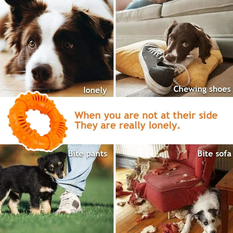 Puppy Teething How To Get My Dog To Stop Eating Shoes Dog Chew