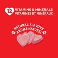 thumbnail image 3 of Milk-Bone Celebration Pupcake Flavoured Biscuits Dog Treat, 3 of 8