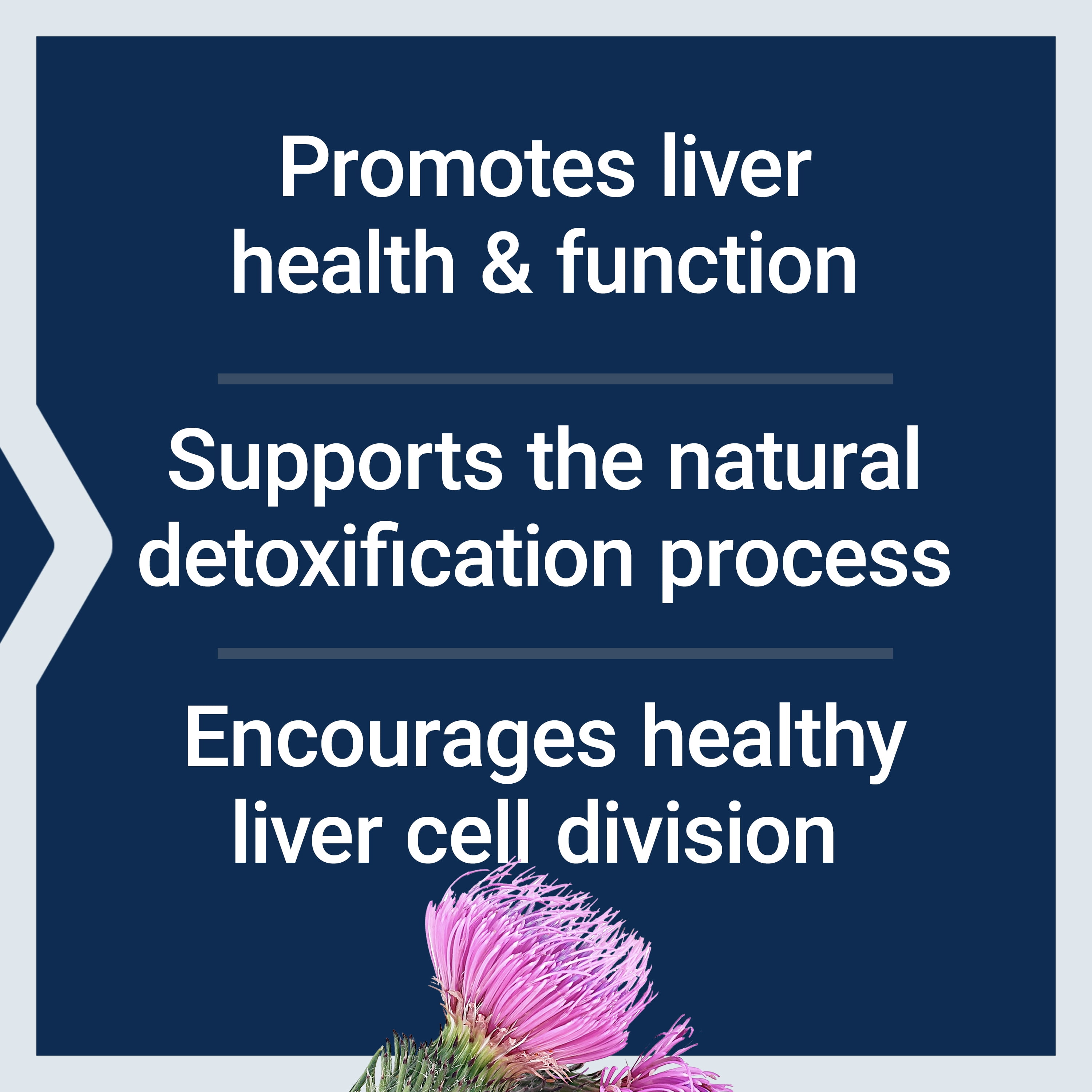 Life Extension Advanced Milk Thistle, liver health supplement, liver detox, cell division, silymarin, silybin, bioavailable, gluten free, non-GMO, 60 softgels