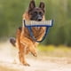 thumbnail image 4 of Juguete para morder de perro Yinane, entrenamiento de cachorros, Almohada de mordida de entrenamiento, 4 of 8
