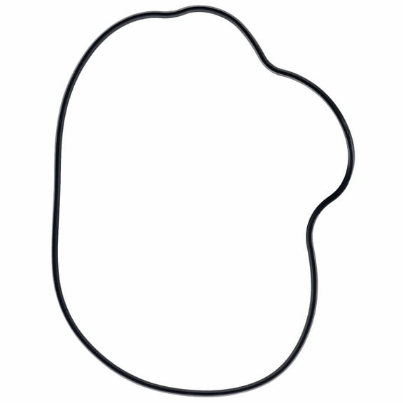 Polaris 5413972 Stator Cover Seal 2012-2017 Ranger 800 Crew RZR 4 S 800 Sportsman 800 OEM