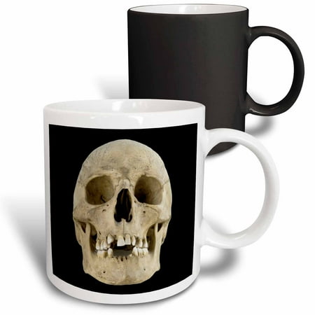 

3dRose Font of Large Skull Magic Transforming Mug 11oz
