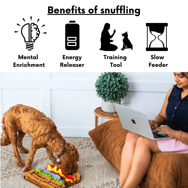 LUVMYFIDO Hamburger Enrichment Foraging Snuffle Mat for Dogs, Dog Puzzle Toy, Slow Feeder